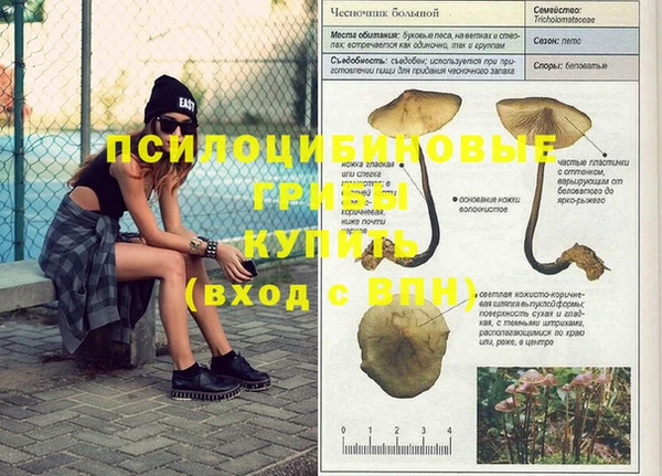 2c-b Елизово