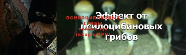 2c-b Елизово