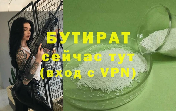 меф Ельня