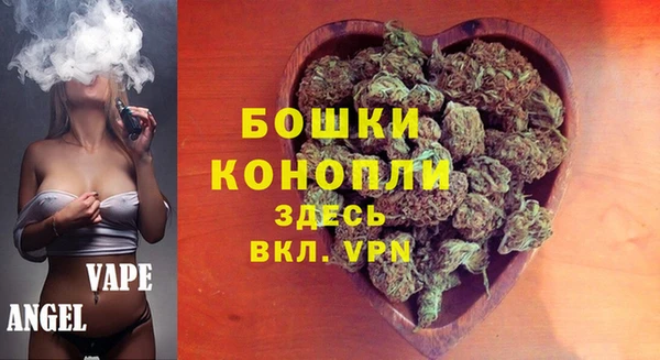 меф Ельня