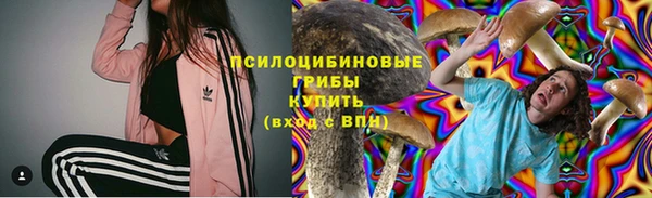меф Ельня