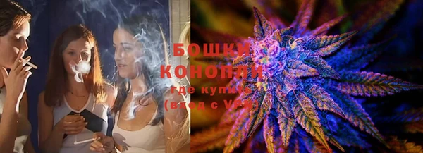 меф Ельня