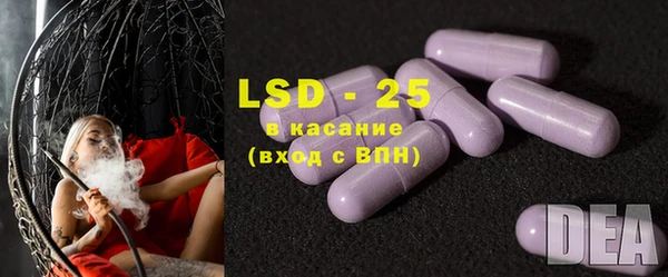 меф Ельня